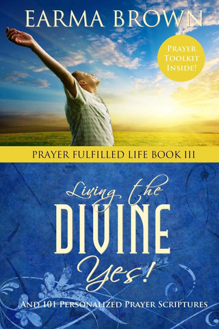 Living The Divine Yes Paperback